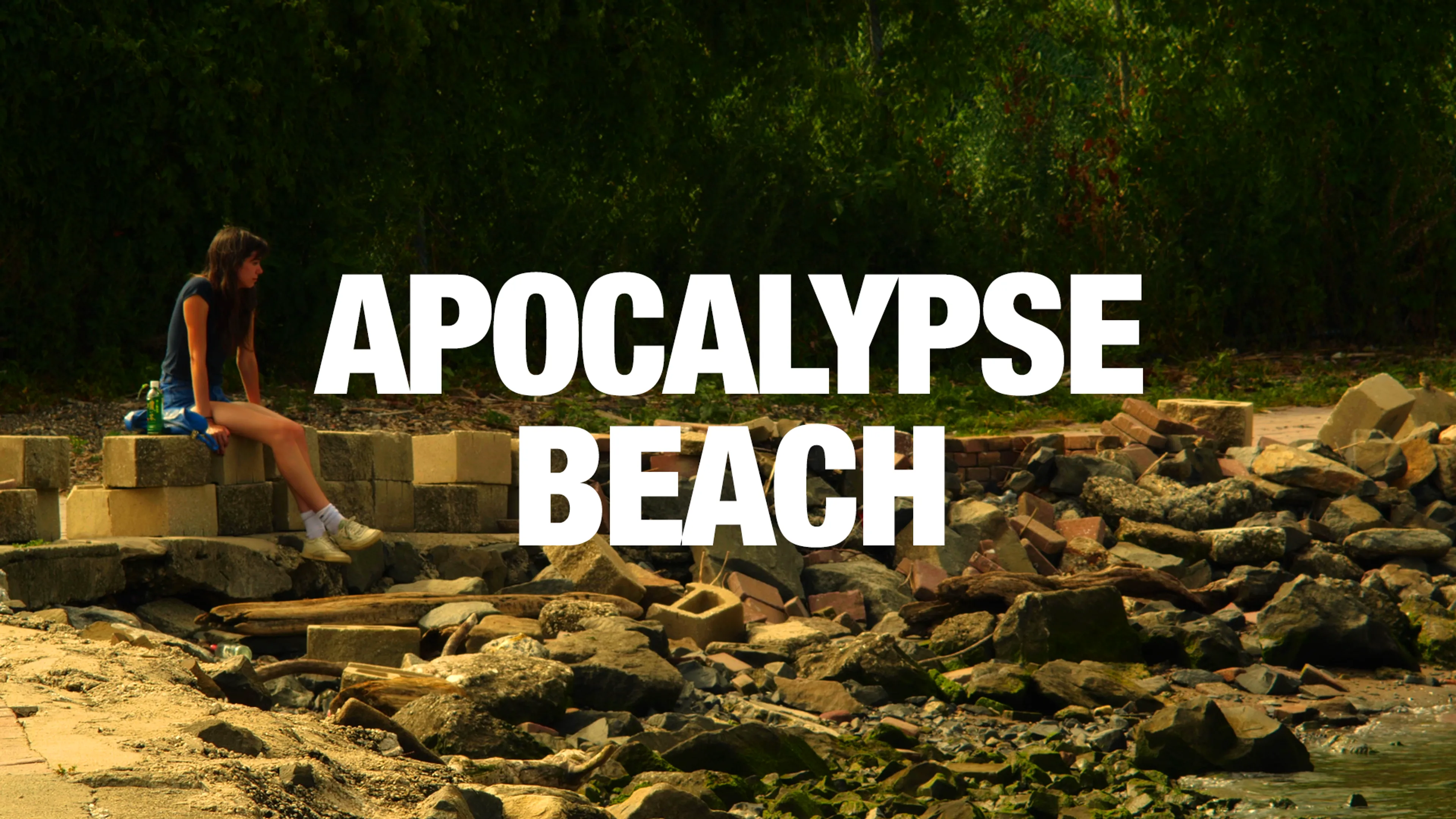 Apocalypse Beach poster